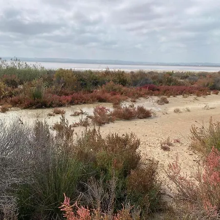 בית נופש Modern And Airy *